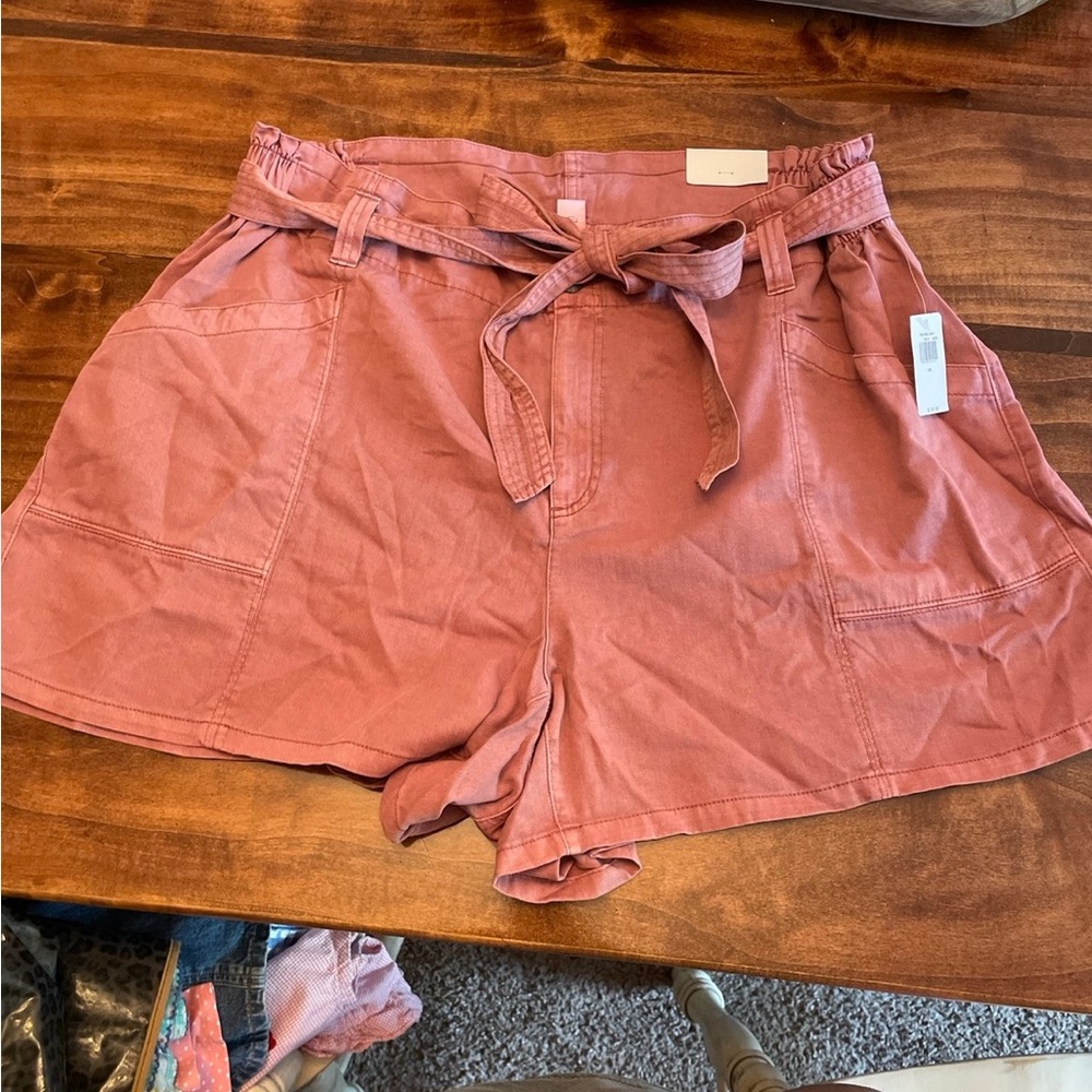 Old Navy Shorts 2X